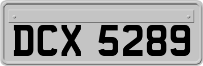 DCX5289