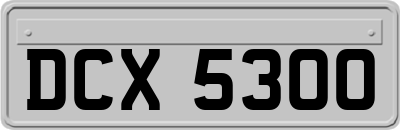 DCX5300