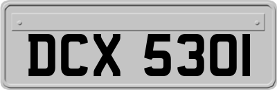 DCX5301