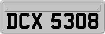 DCX5308