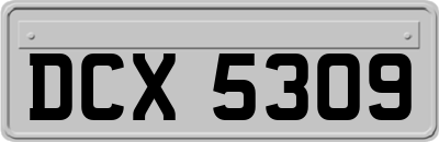 DCX5309
