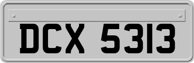 DCX5313