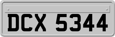 DCX5344