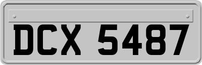 DCX5487