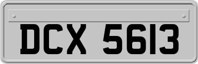 DCX5613