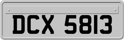 DCX5813