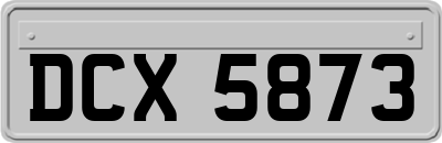 DCX5873