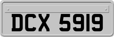 DCX5919