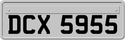 DCX5955