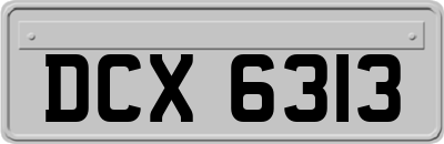 DCX6313