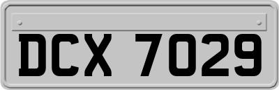 DCX7029