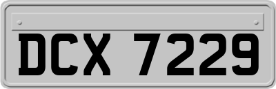 DCX7229
