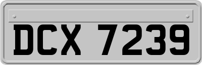 DCX7239