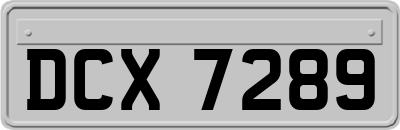 DCX7289