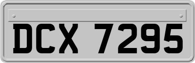 DCX7295