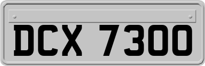 DCX7300