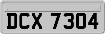 DCX7304