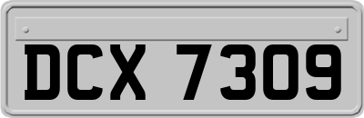 DCX7309