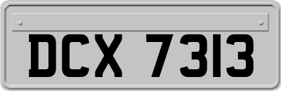 DCX7313