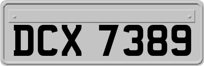 DCX7389