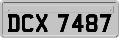 DCX7487