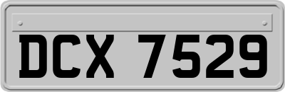 DCX7529
