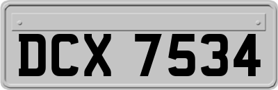 DCX7534