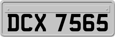 DCX7565