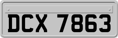 DCX7863