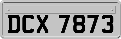DCX7873