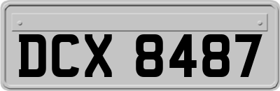 DCX8487