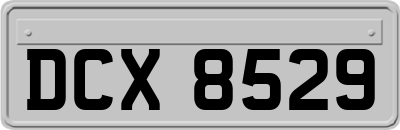 DCX8529