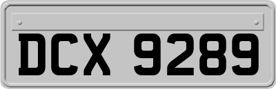 DCX9289