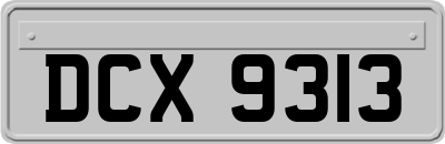 DCX9313
