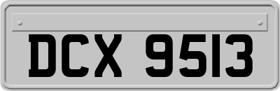 DCX9513