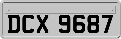 DCX9687