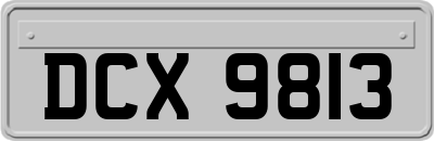 DCX9813
