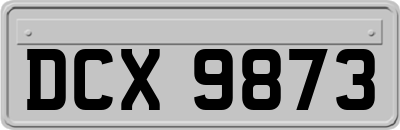 DCX9873