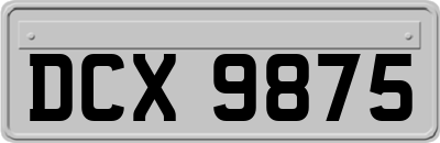 DCX9875