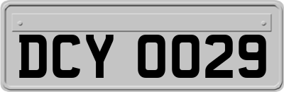 DCY0029