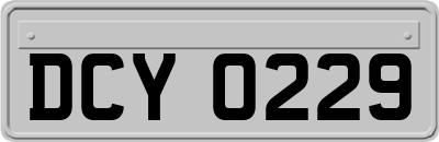 DCY0229