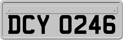 DCY0246