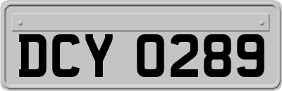 DCY0289