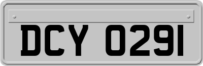 DCY0291