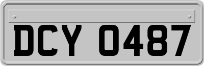 DCY0487