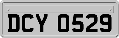 DCY0529