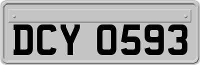 DCY0593