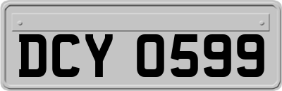 DCY0599