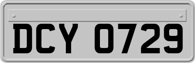 DCY0729