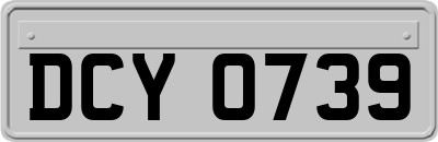 DCY0739